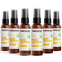 Everyone Hand Sanitizer Spray